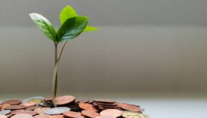 Read more about the article Arigato Investor: Zen Millionaire’s Secrets To Manifest Money, Success & Happiness